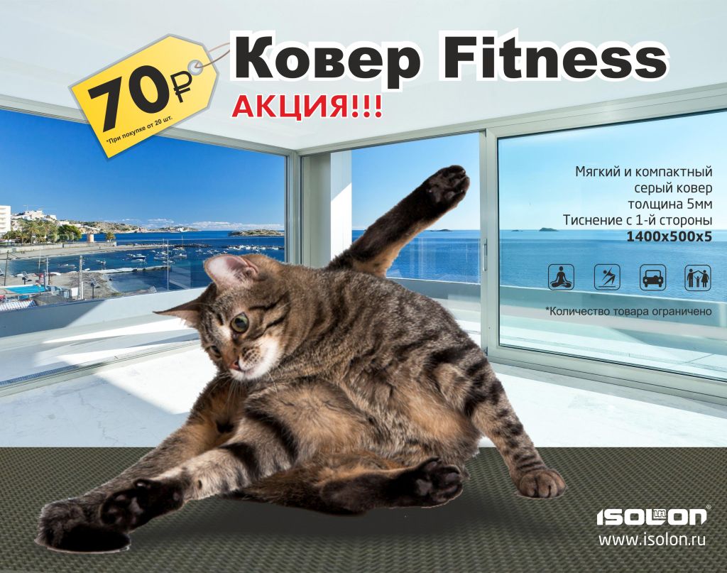 акция ковры фитнес